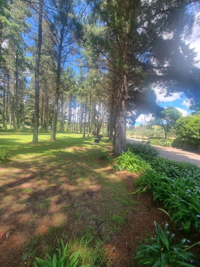 Savana Estate Poukawa エクステリア 写真