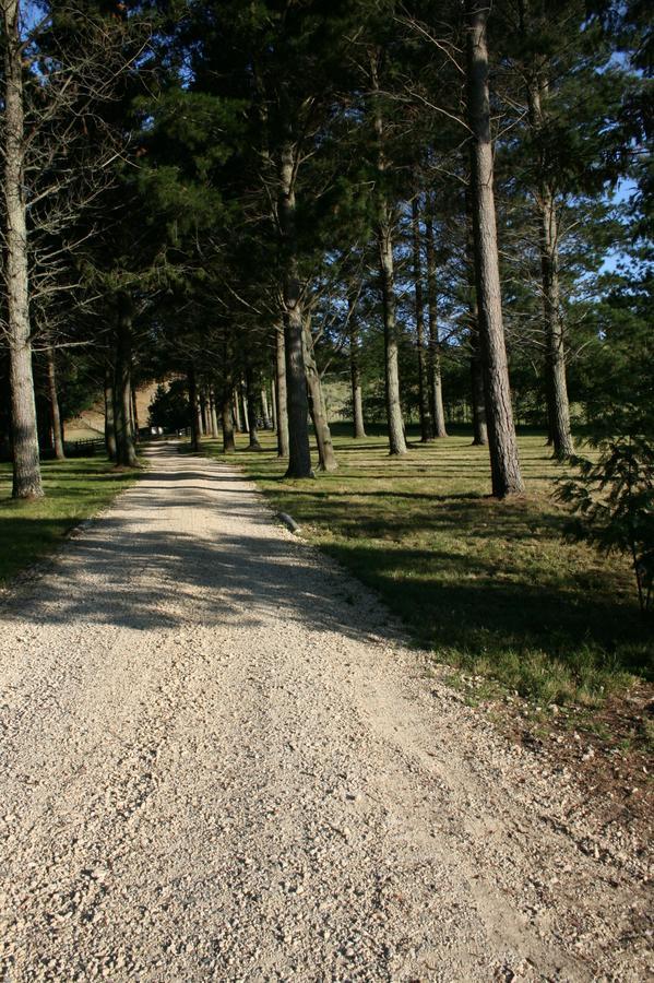 Savana Estate Poukawa エクステリア 写真